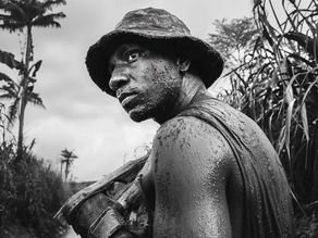 Mata Atlântica : Reportage photographique sur la déforestation au Brésil par l'agence Posto 5