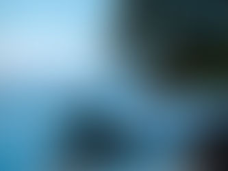 Voyage photo aventure Brésil