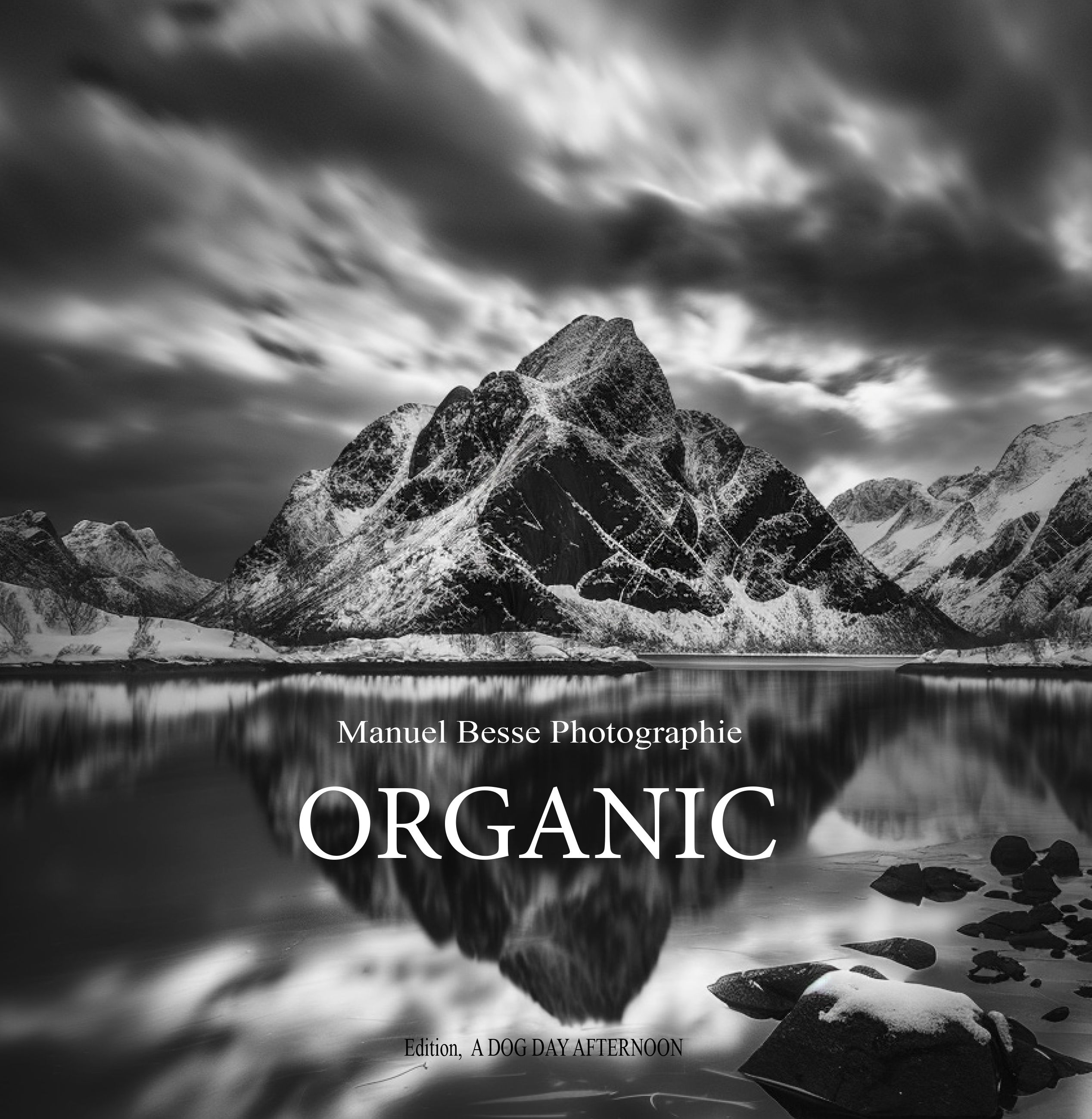 Article : 006 Fine Art mat -Manuel Besse-organic-livre-book-photographique