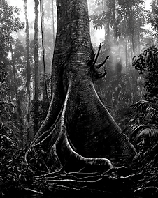 agence-photo-posto-5-manuel-besse- bresil-france-rio-de-janeiro-agência fotográfica_rio-de