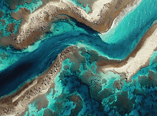 via terra-voyage-photo-stage-photo-ilha-Grande-brésil-photo-tour-mars-2026.jpg