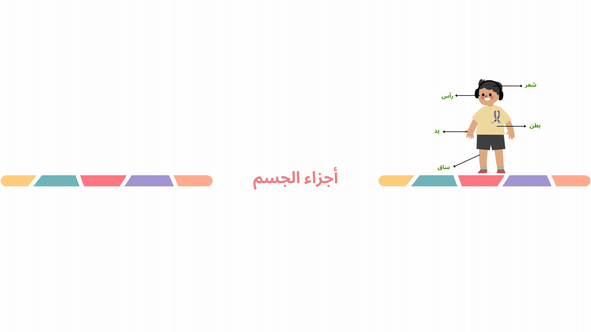 مجموعة أجزاء الجسم (1).gif