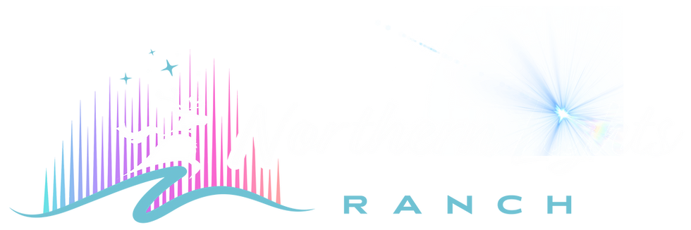 Northern Lights Ranch logo with light.png