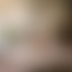 Plants versus flowers on Valentine's Day - express your love with something that won't die in a week