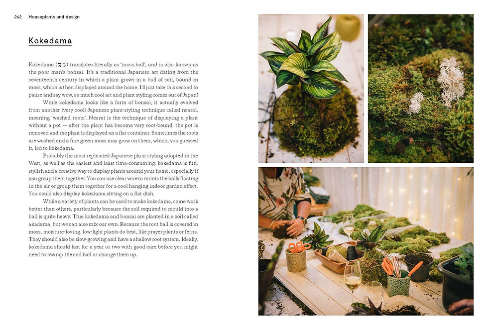 Thumbnail: Houseplants and Design: A New Zealand Guide