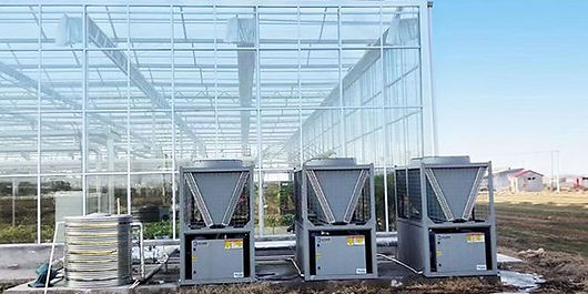 Rui Dong Chiller.jpg