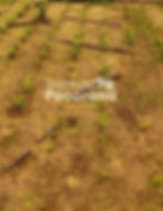 Imagem do WhatsApp de 2025-10-27 à(s) 17.47.38_0e8959c3.jpg