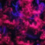 Neon smoke photo studio, dark night, patterned background.jpg