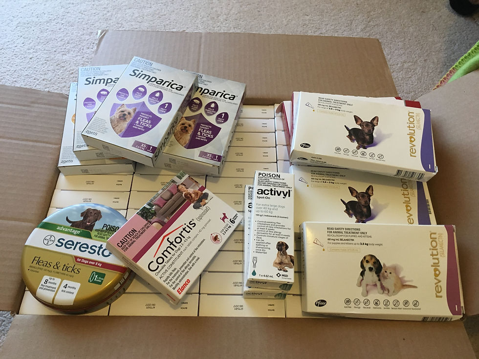 Donation from Chirnside Park Vet Clinic which we took to Turkey to treat street animals