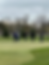 golf 1.heic