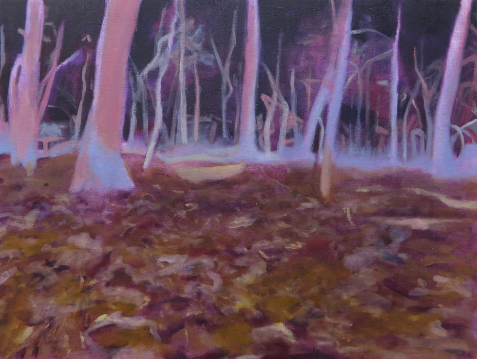 As the forest burns along the road
