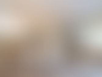 Mops and Muscles Home and Commercial Cleaning Company in Trenton, Michigan