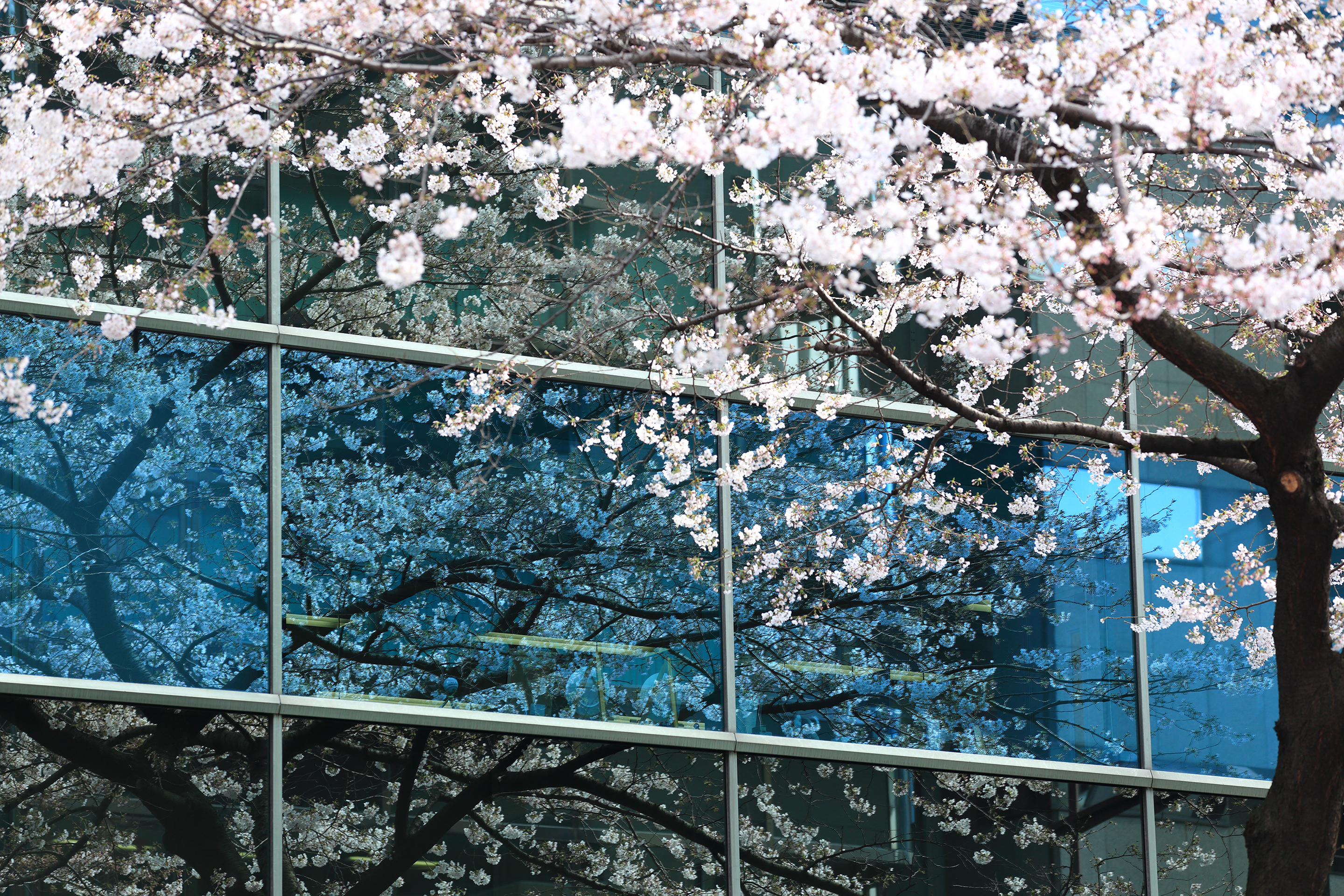 2017年4月 東京都千代田区