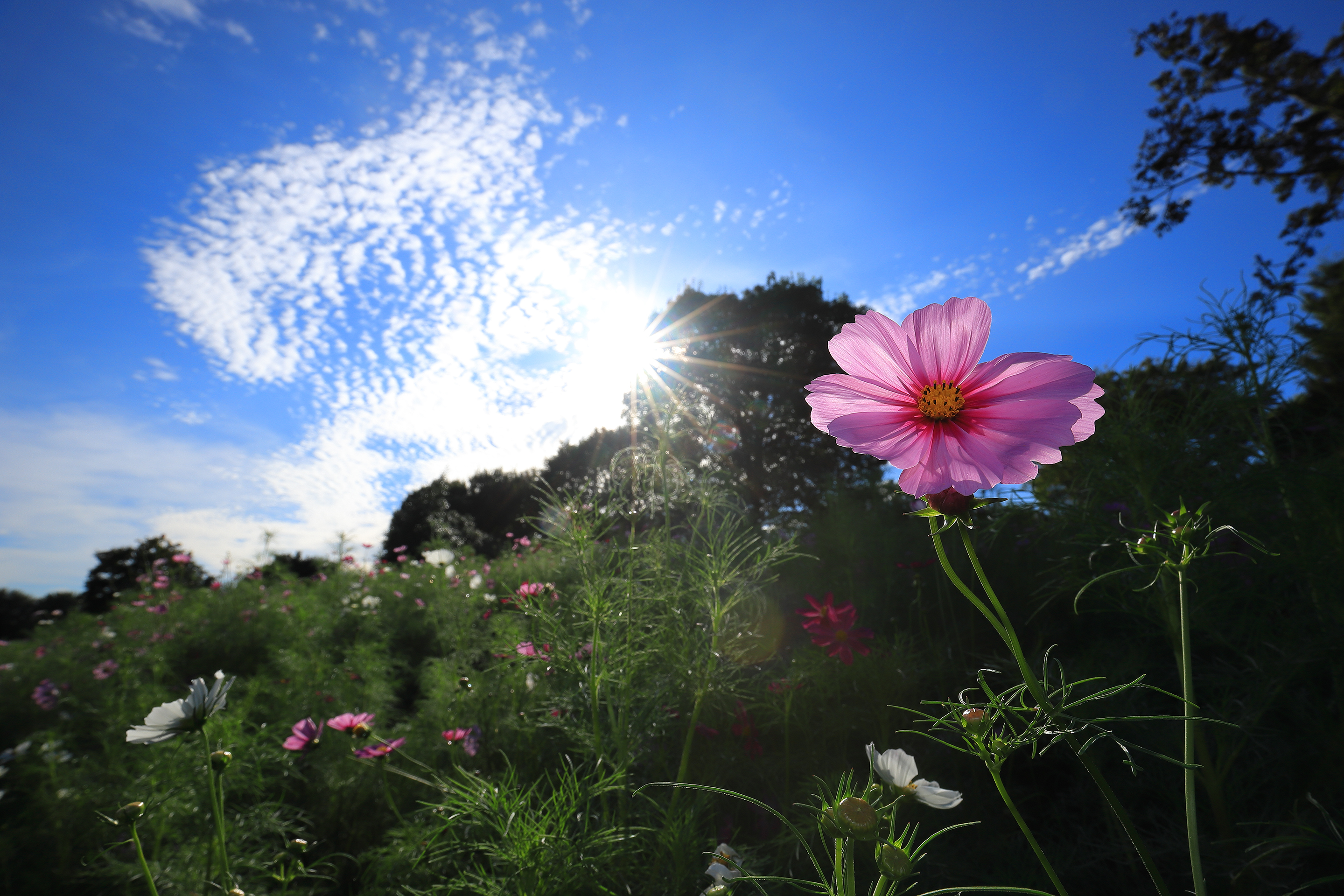 2018年9月 東京都立川市