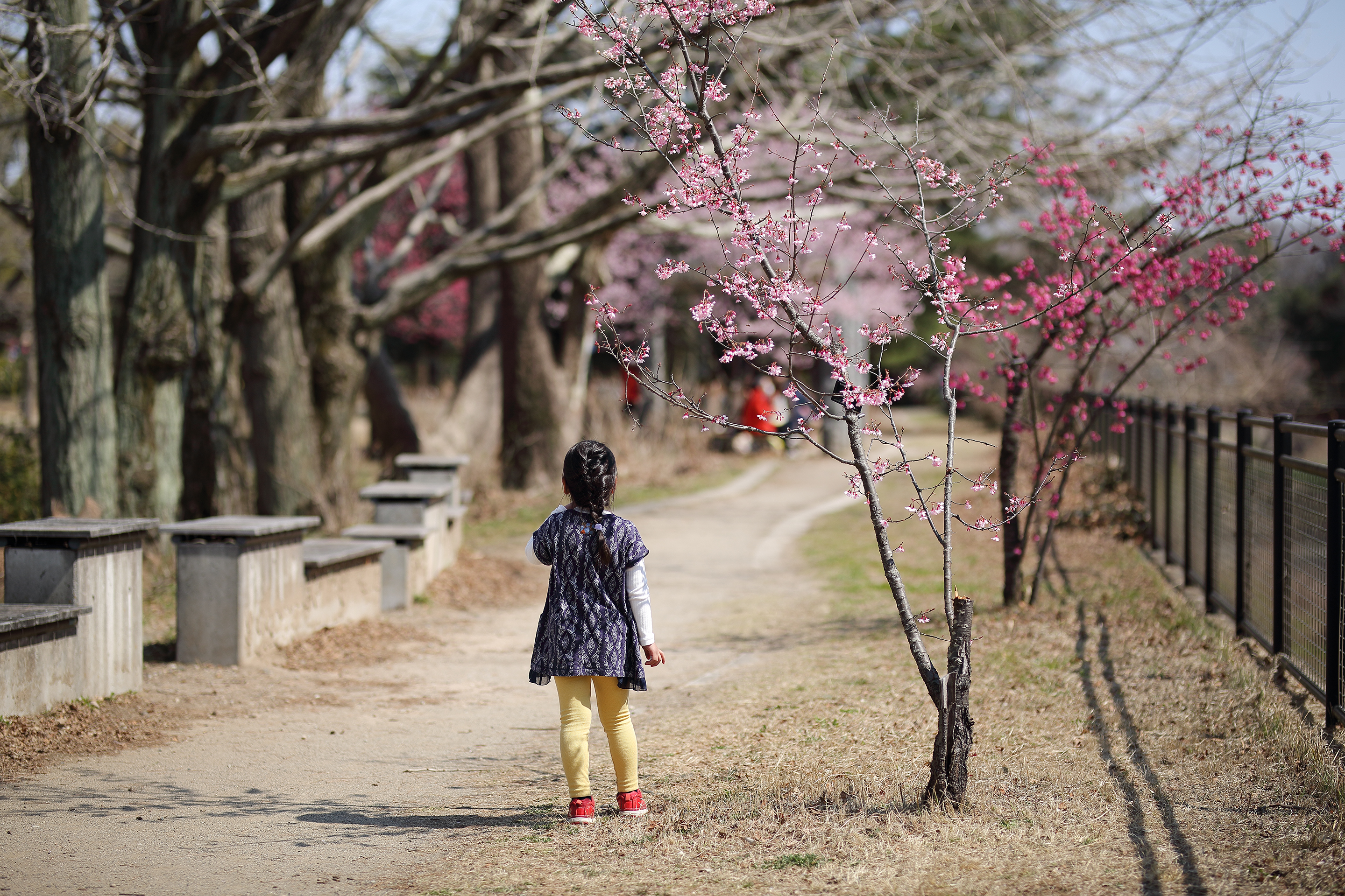2019年3月 東京都立川市