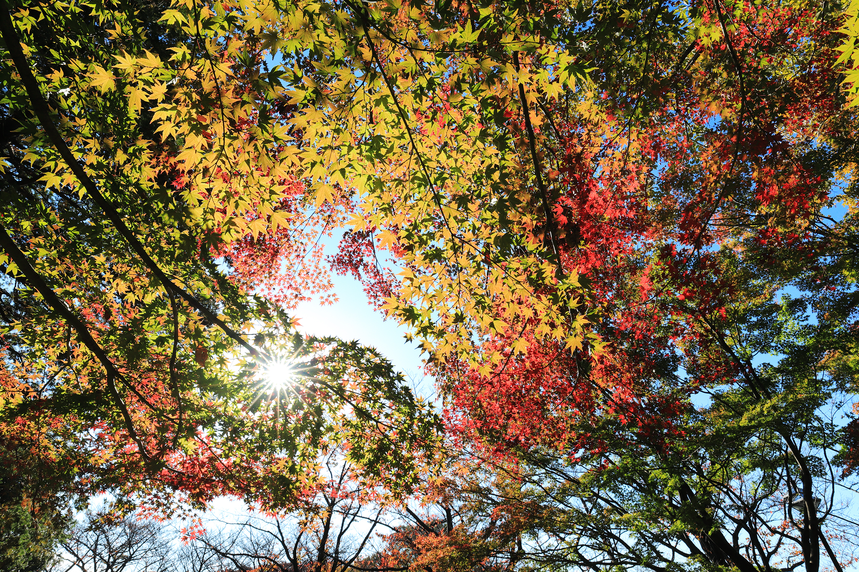 2018年11月 東京都府中市