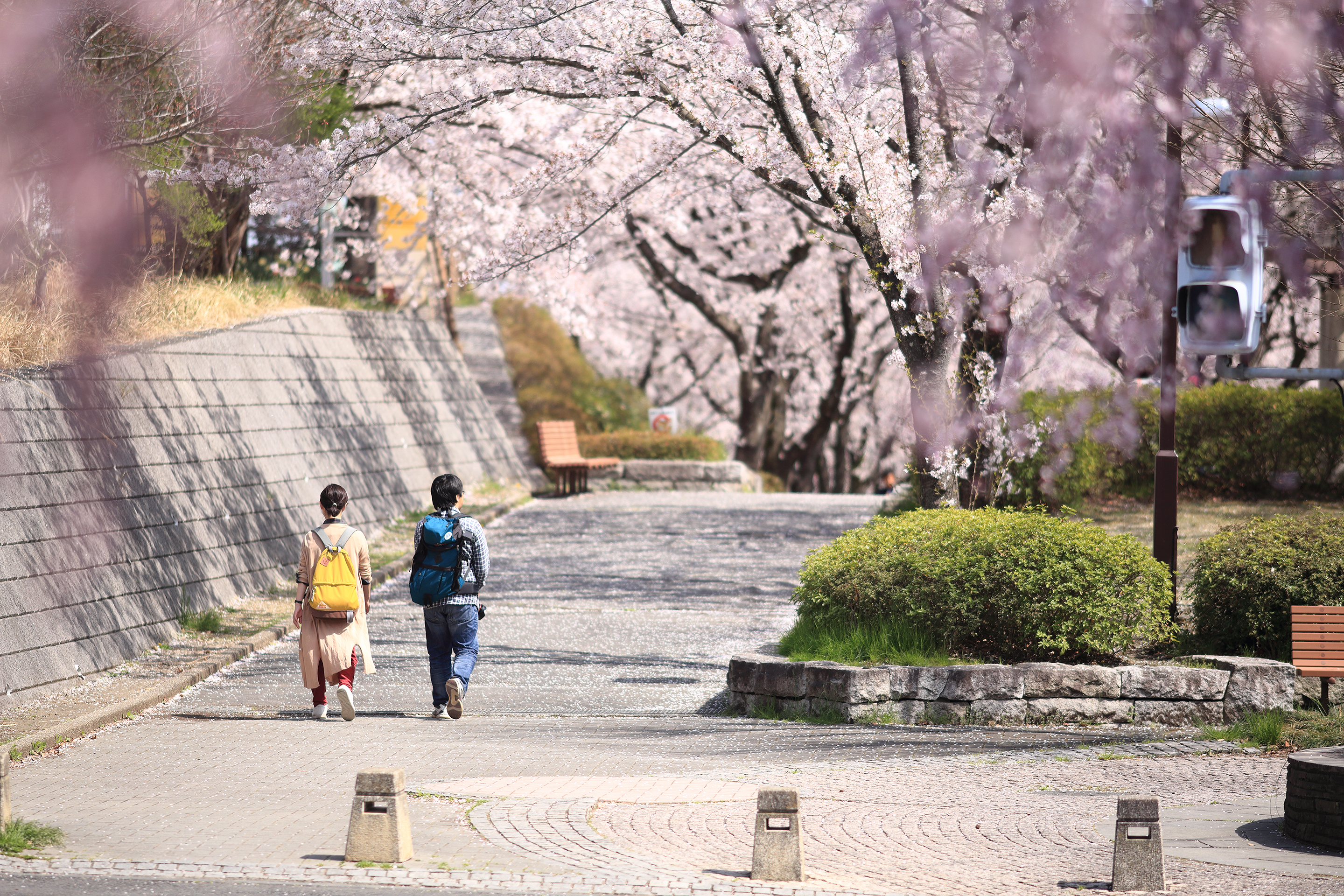 2018年4月 埼玉県飯能市