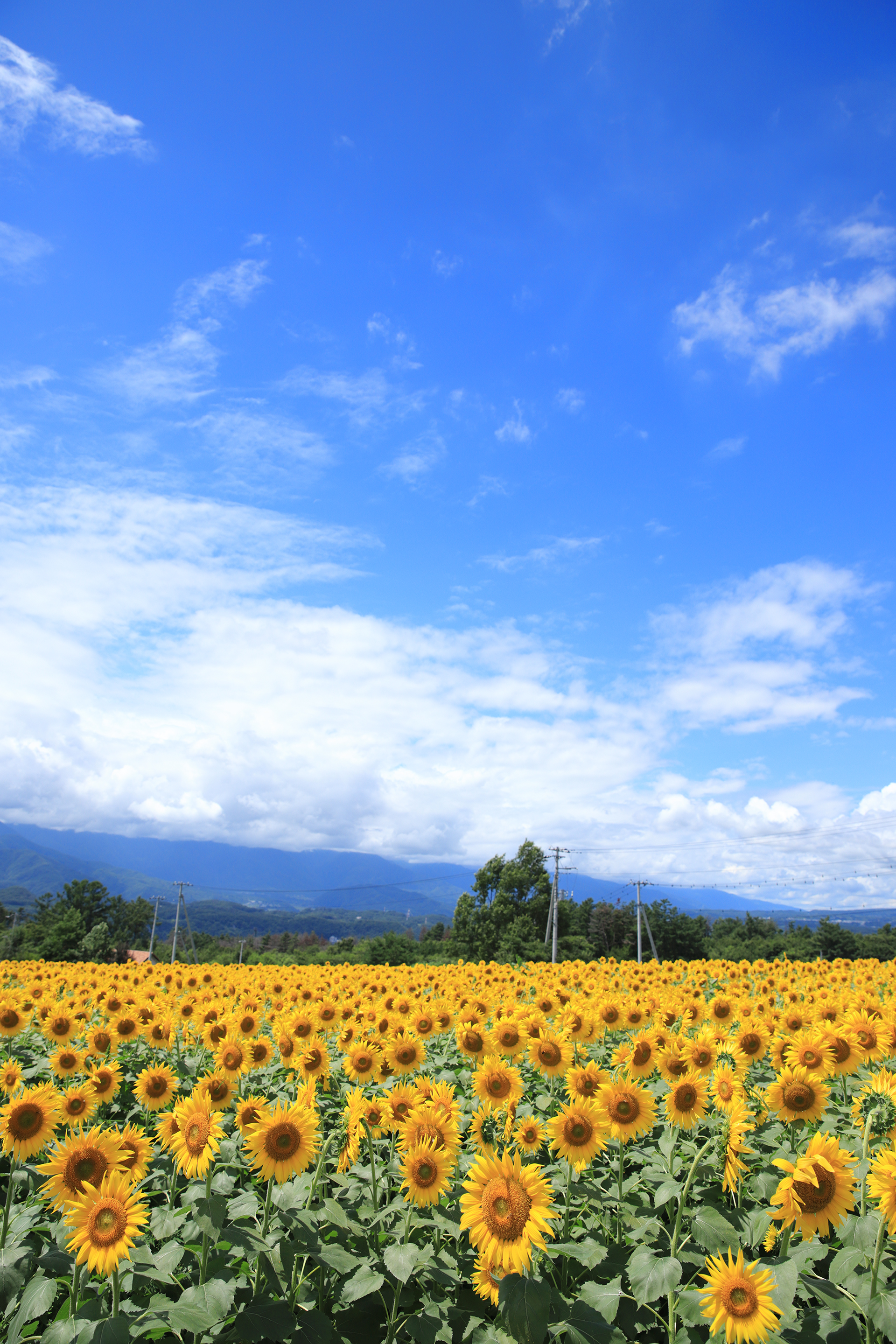 2017年8月 山梨県北杜市