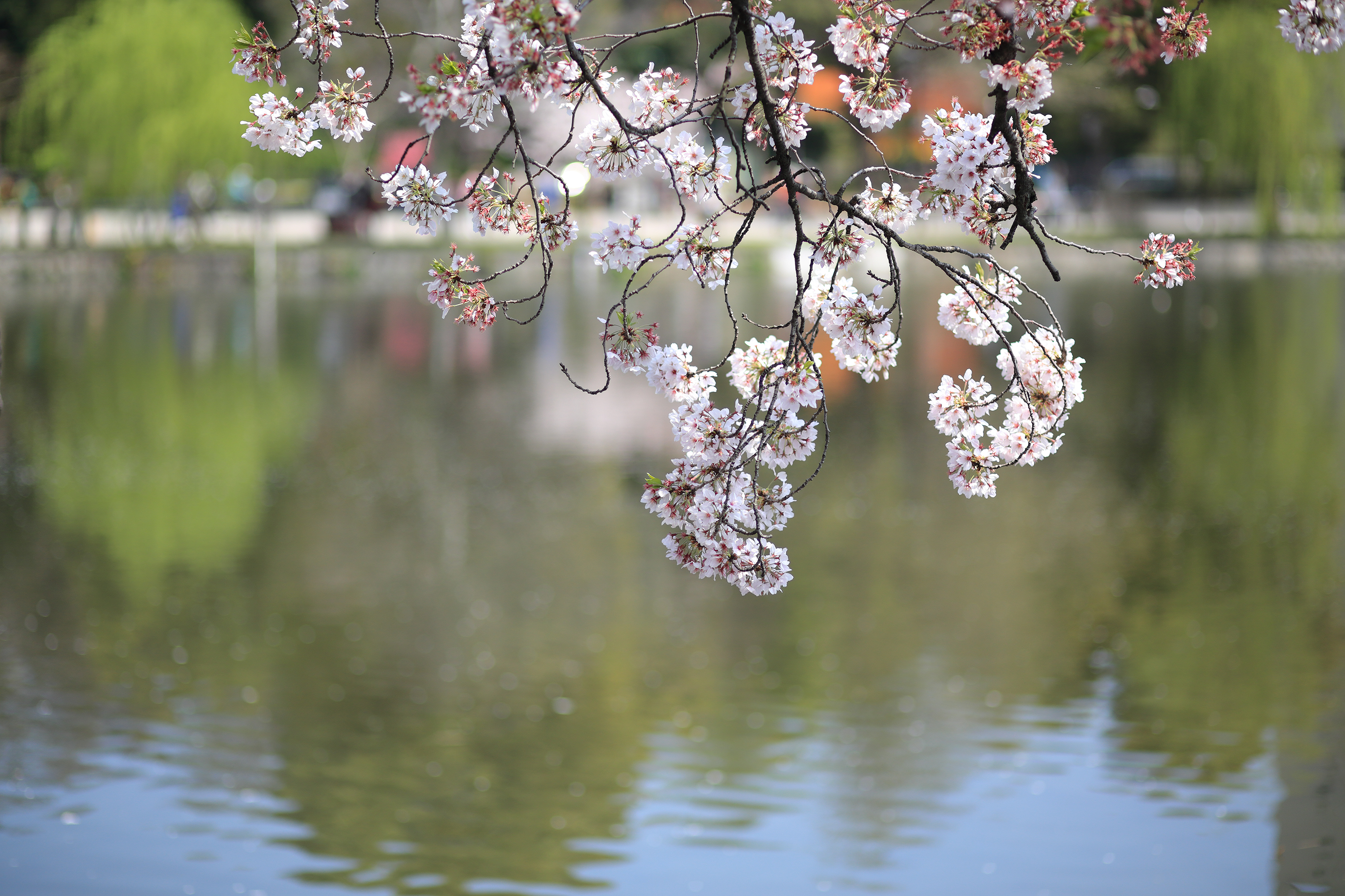 2017年4月 東京都台東区