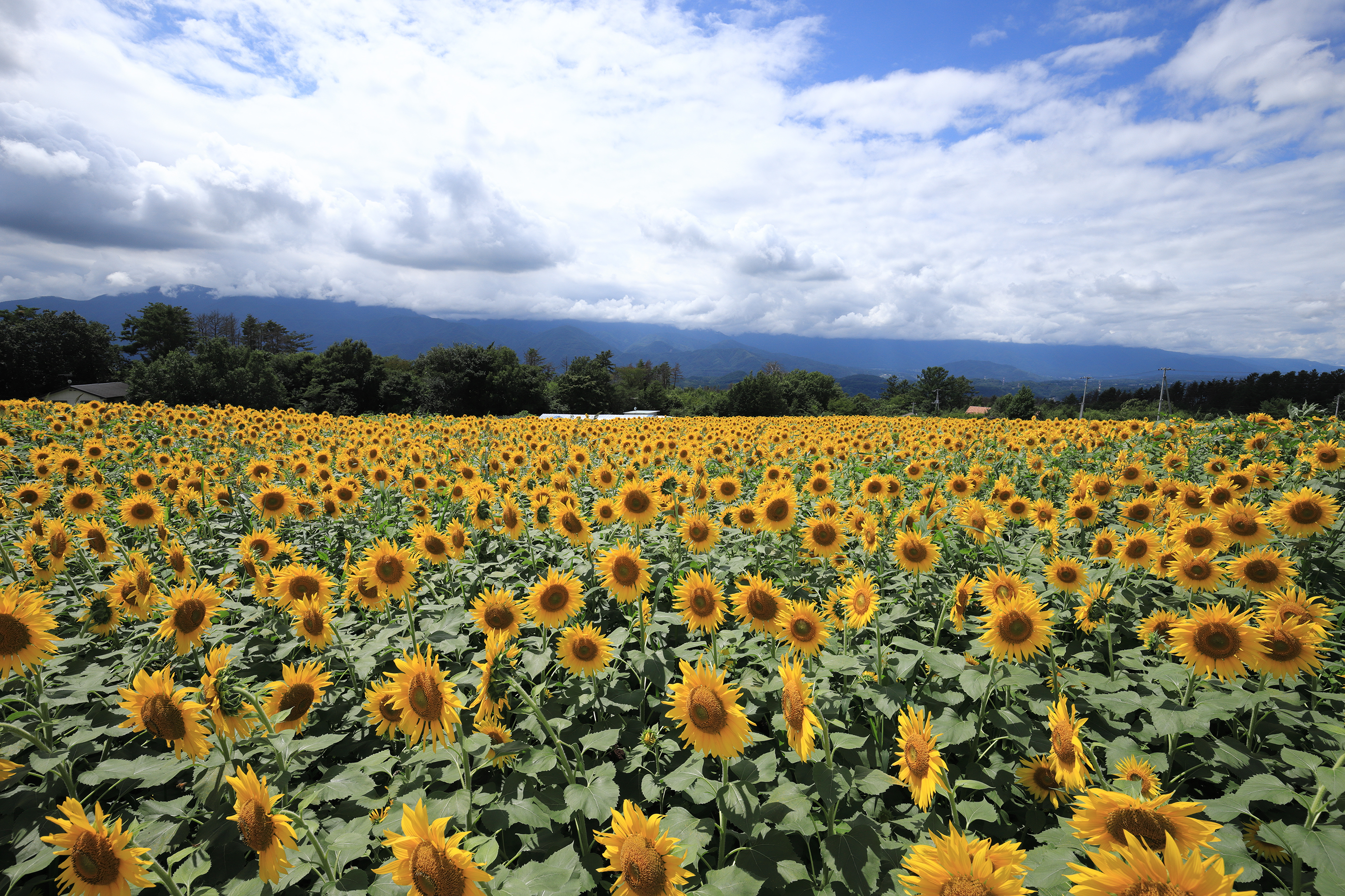 2017年8月 山梨県北杜市