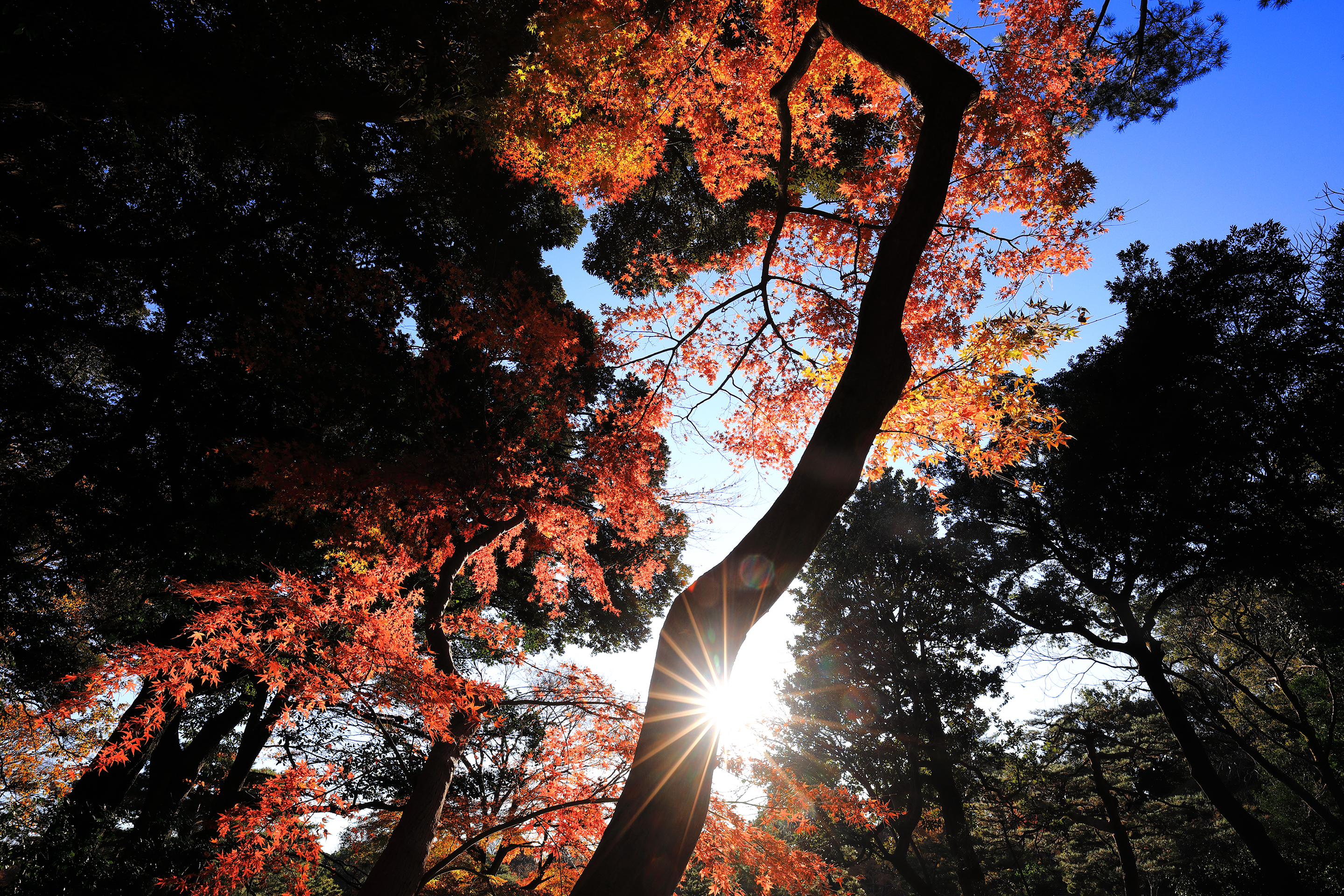 2018年12月 東京都文京区