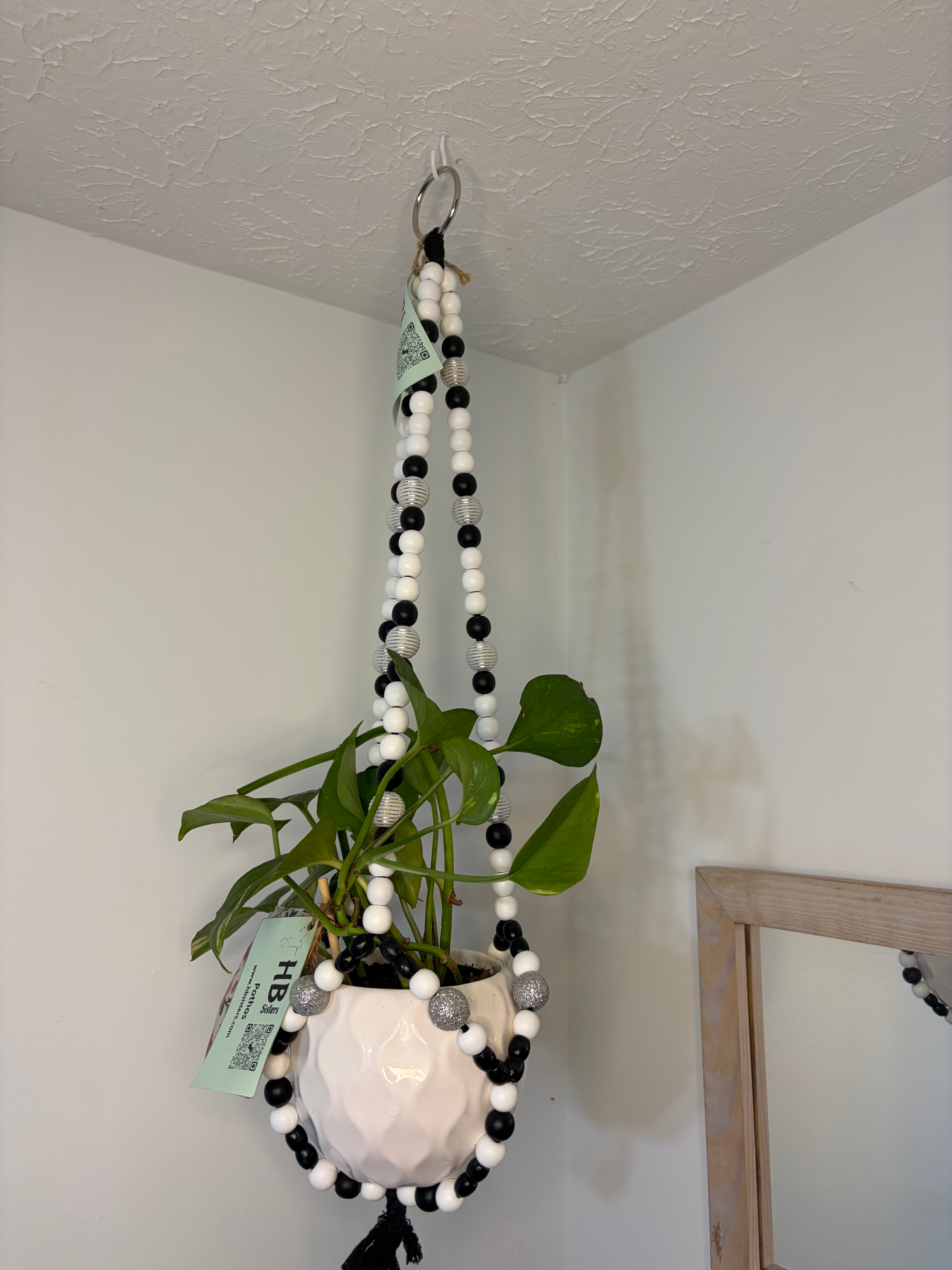 Black, White and Silver Beaded Plant Hanger