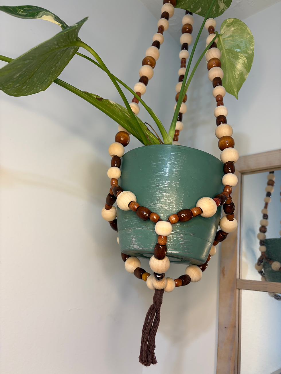 Thumbnail: Tan and Brown Beaded Plant Hanger