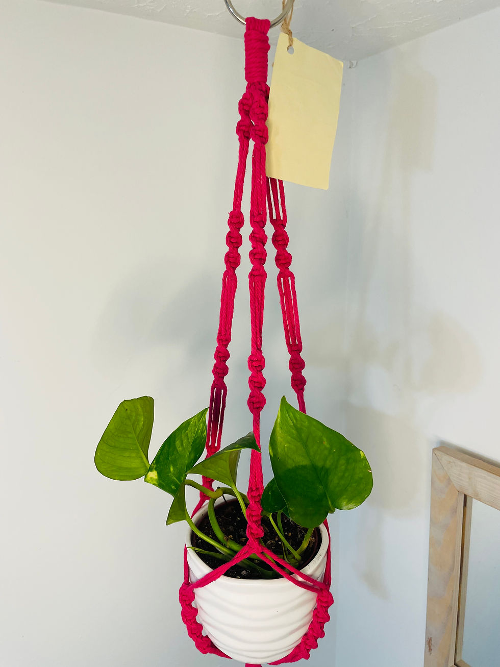 Thumbnail: Pink Macrame Plant Hanger 