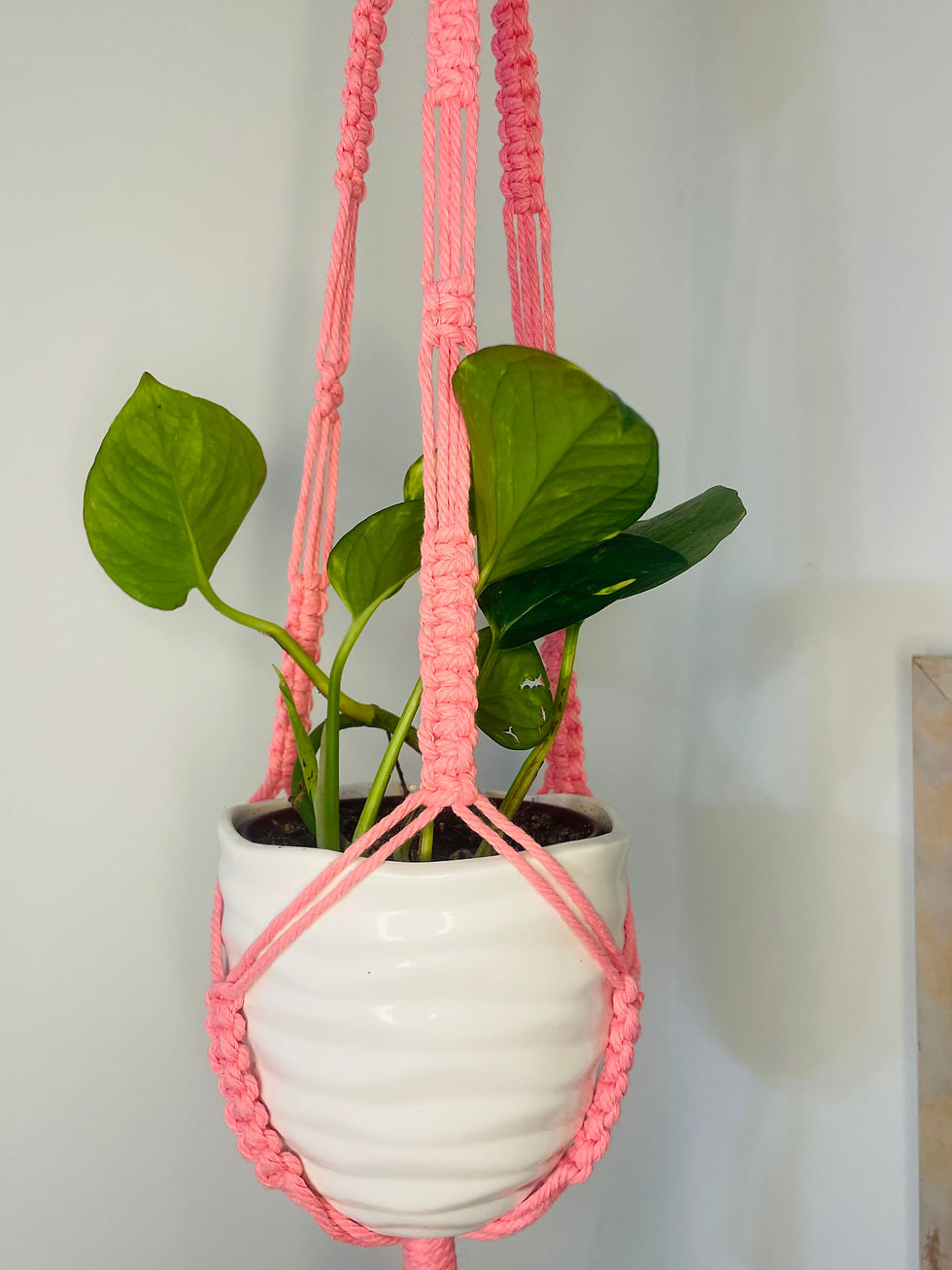 Thumbnail: Pink Macrame Plant Hanger 
