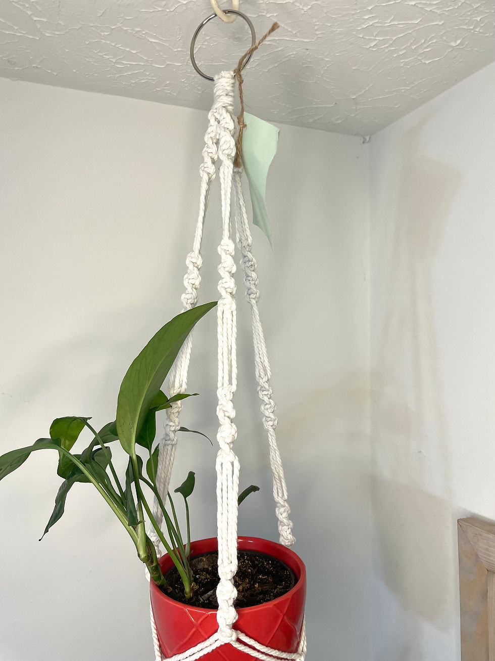 Thumbnail: White Macrame Plant Hanger