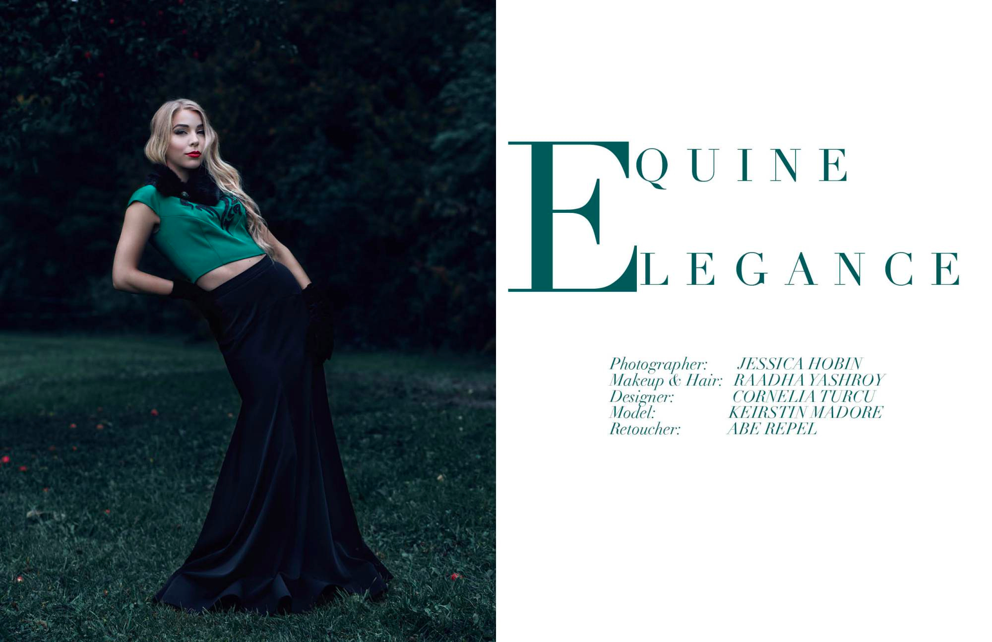 Equine Elegance - Krowd Webtorial