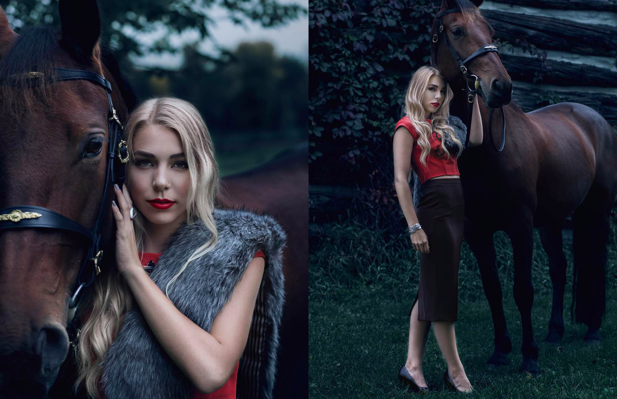 Equine Elegance - Krowd Webtlegance4