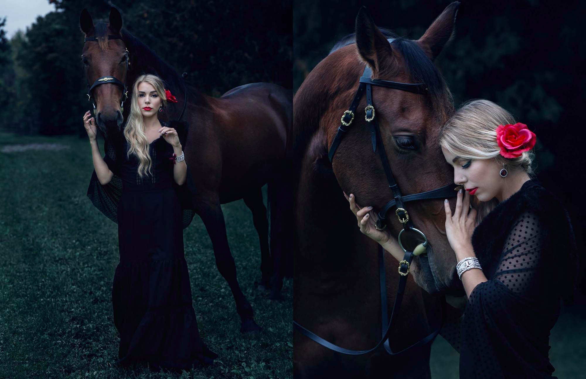 Equine Elegance - Krowd Webtorial