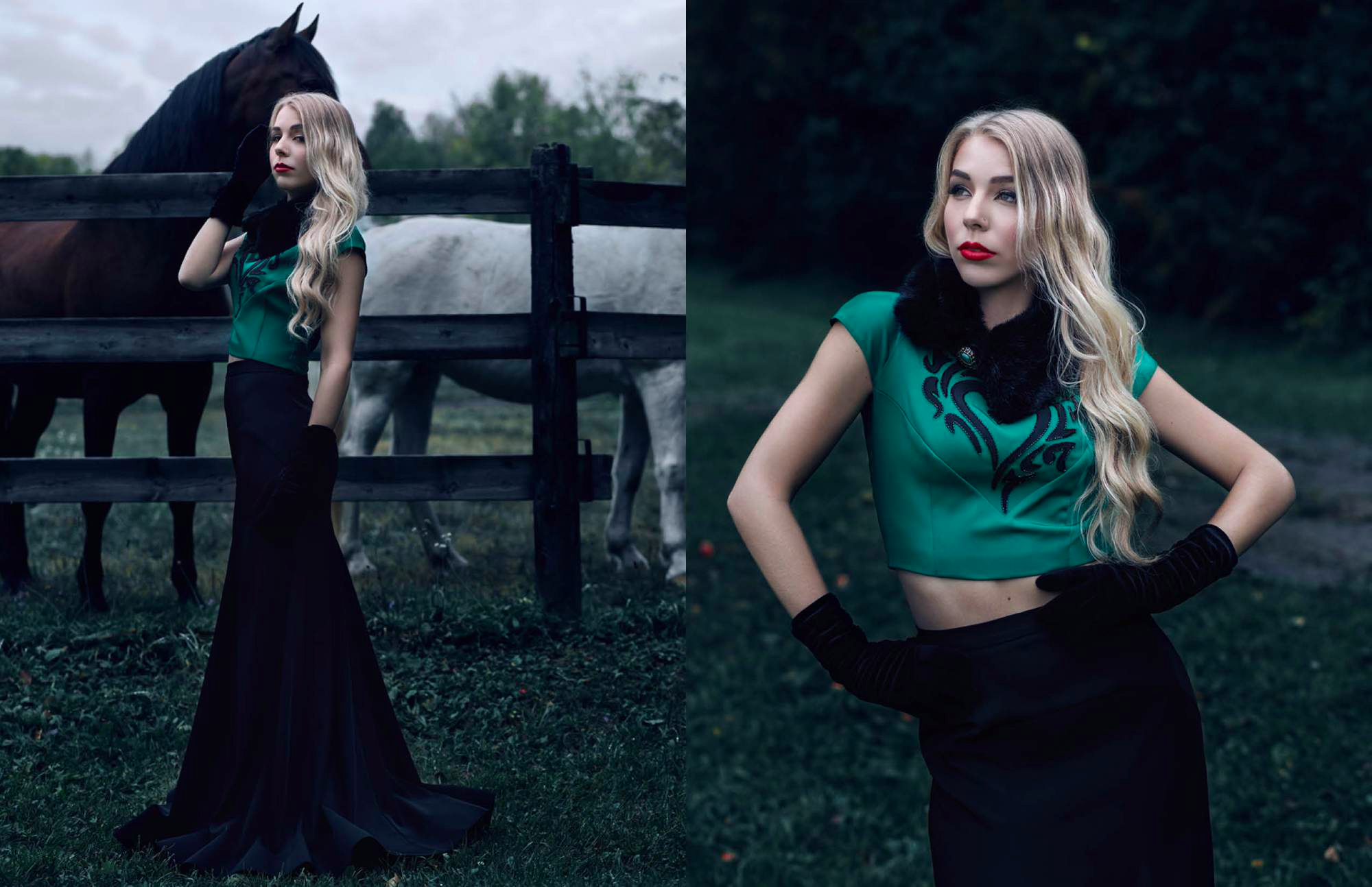 Equine Elegance - Krowd Webtorial