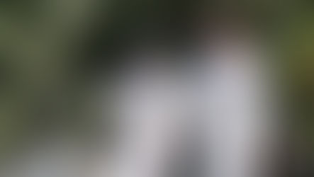 Round 18: Stumps, Day One Report