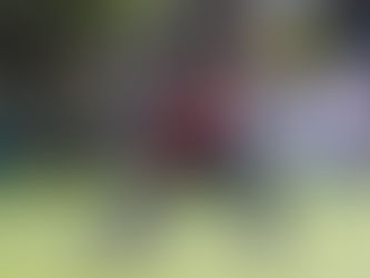 Round 4 Match Reports