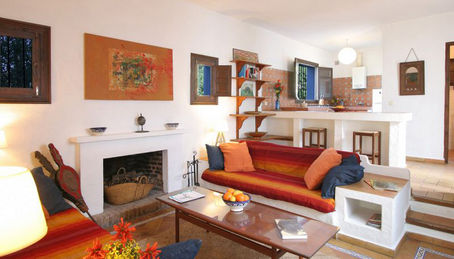 Brushdecor. Custom decorative canvas murals