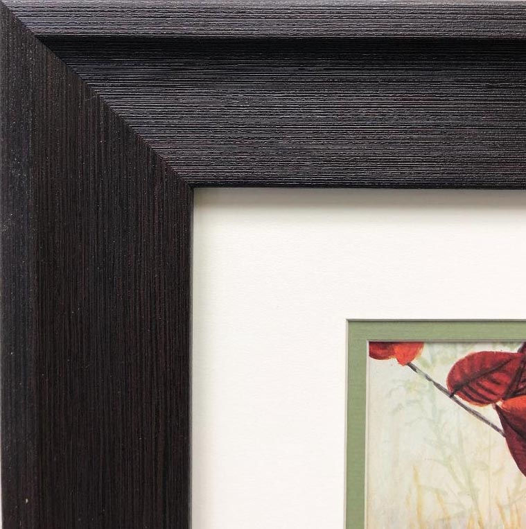 Thumbnail: Robert Bateman" Yellow Rumped Warbler & Sumac" FRAMED Art