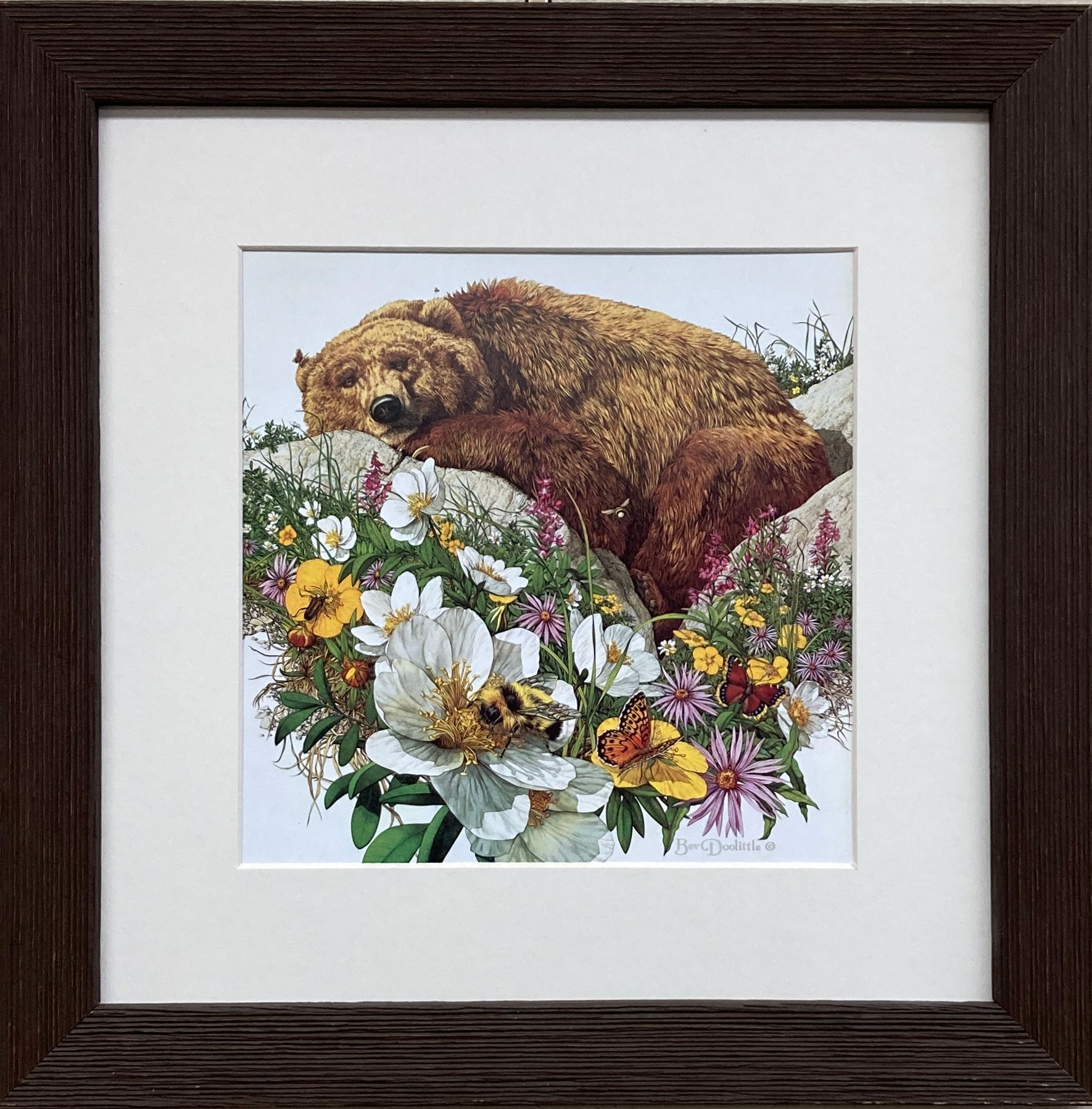 Bev Doolittle "Bugged Bear 1980" Newly Custom FRAMED American Art Artist Bee