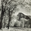 Thumbnail: Ansel Adams "Half Dome Oak Trees Autumn"