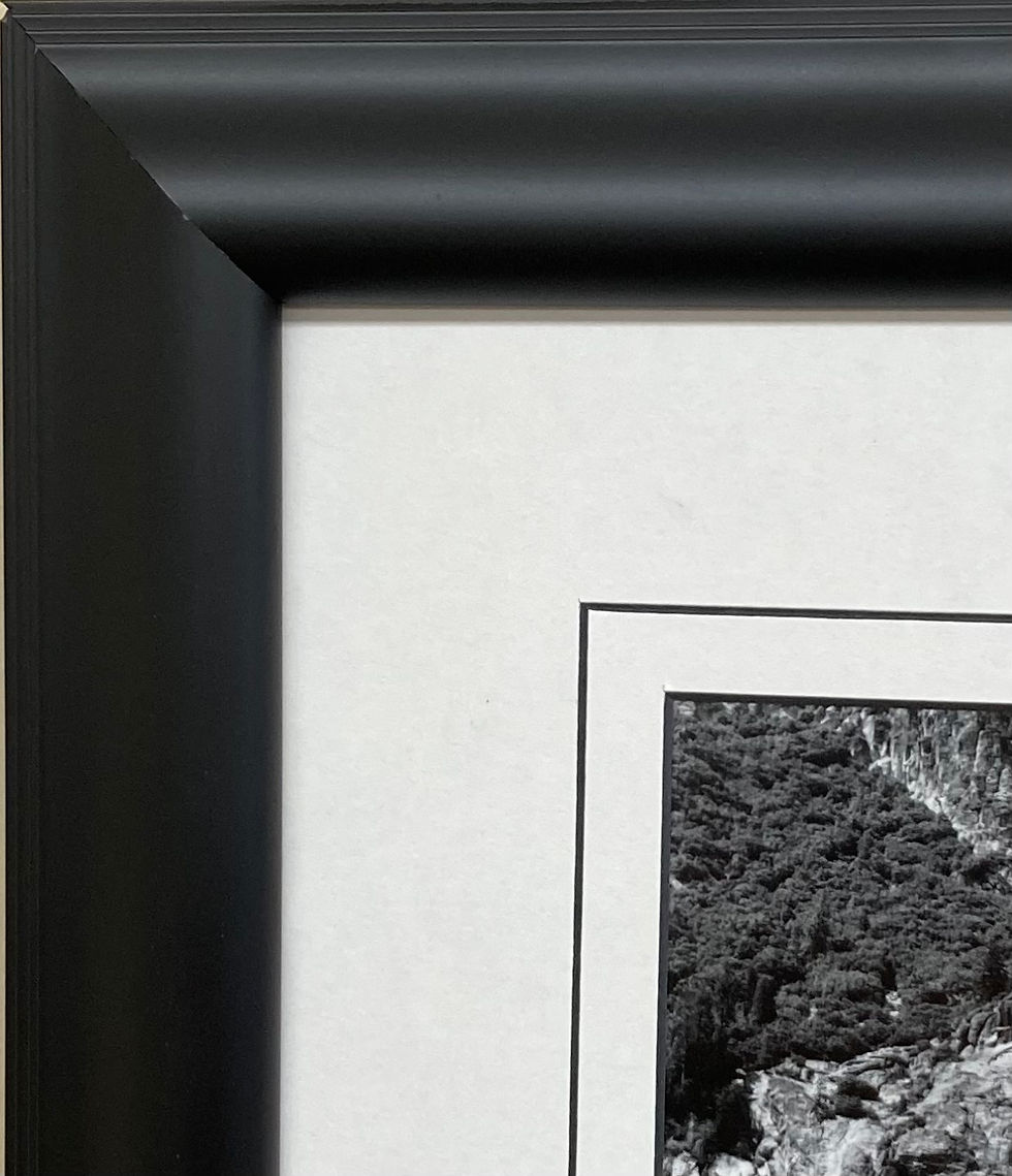 Thumbnail: Ansel Adams "Yosemite Falls and Meadow"  Custom Framed NEW ART Photography