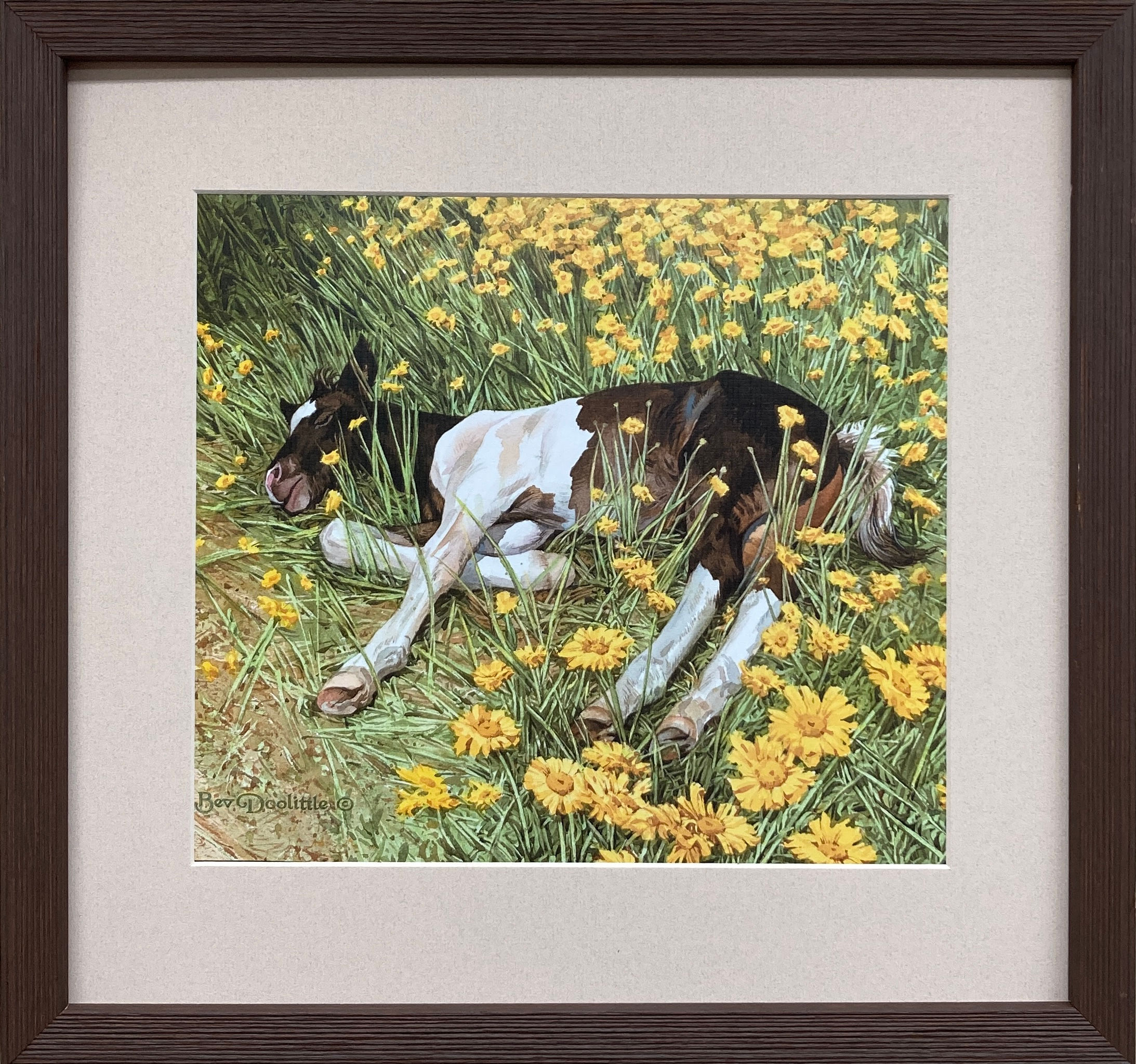 Bev Doolittle "Spring Break" Newly FRAMED American Art Horse
