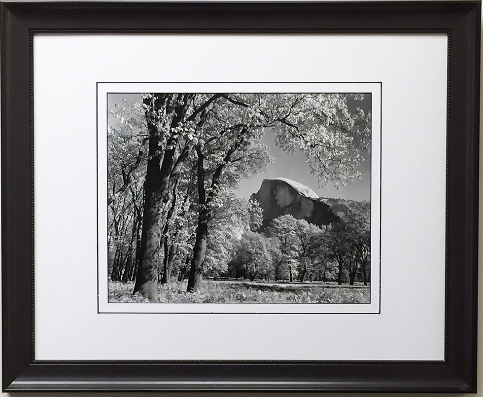 Ansel Adams "Half Dome Oak Trees Autumn"