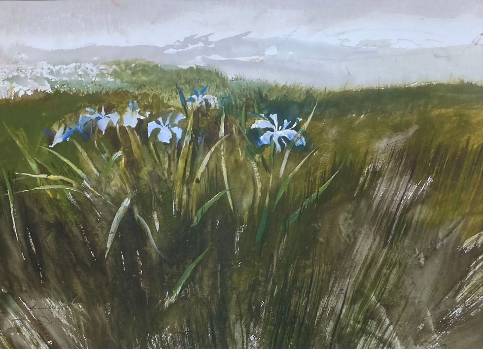 Thumbnail: Andrew Wyeth "Wild Iris '97" CUSTOM FRAMED Art Americana Rural Farm USA