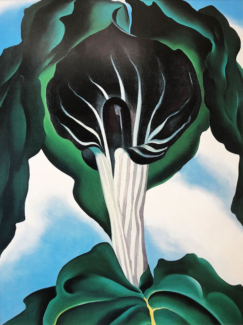 Thumbnail: Georgia O'Keeffe "Jack-in-the-Pulpit No. III"
