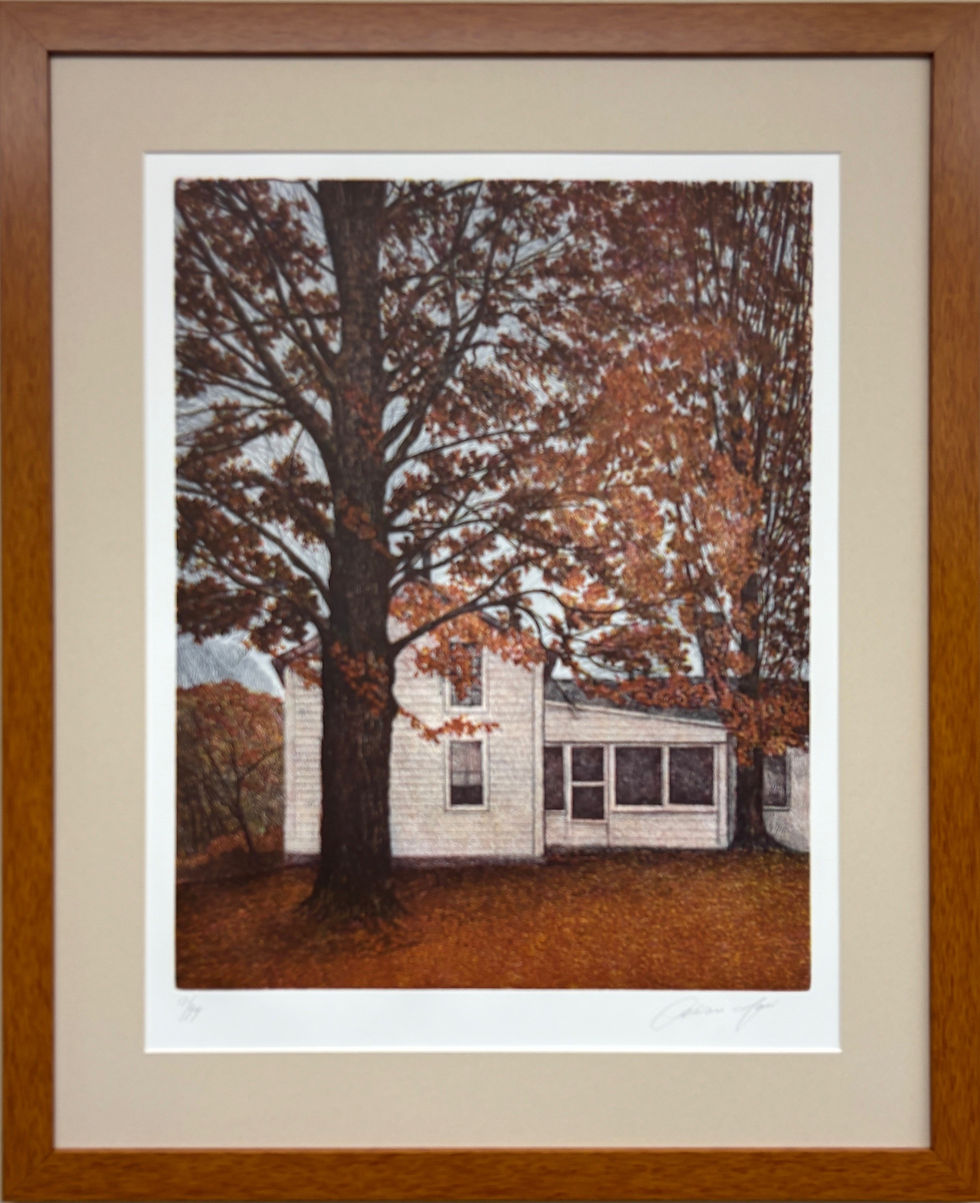 Oliviero Masi "Fall Back" Signed Limited Edition Etching FRAMED ART NEW!