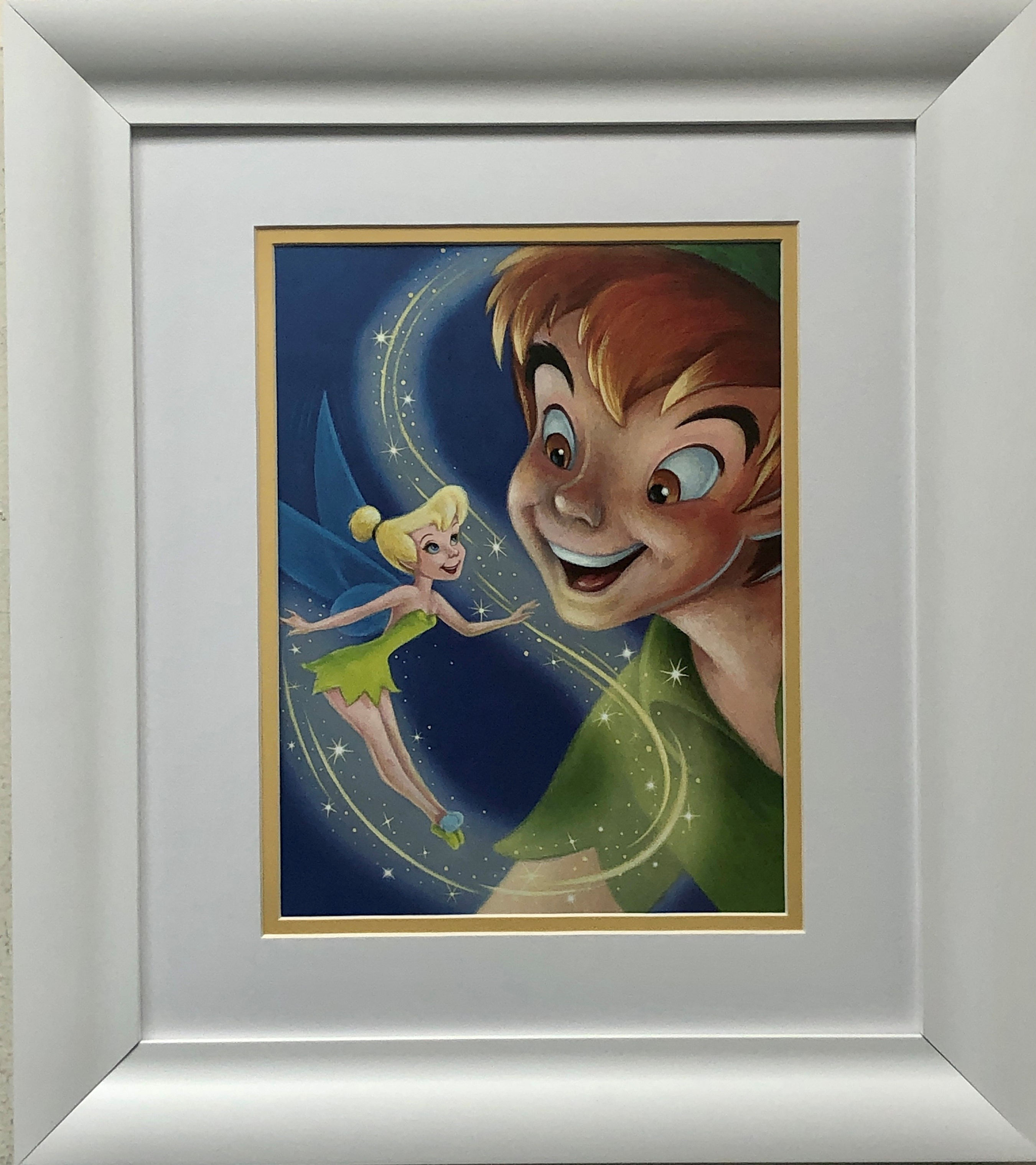 Disney "Tinker Bell and Peter Pan" Custom Framed Fairy Movie Animation Art New!