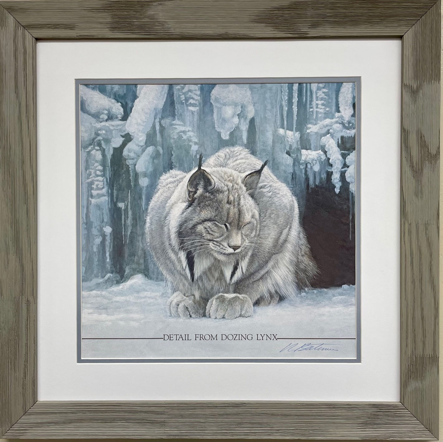 Robert Bateman "Detail from Dozing Lynx" Hand Signed FRAMED Wildlife Art NEW!