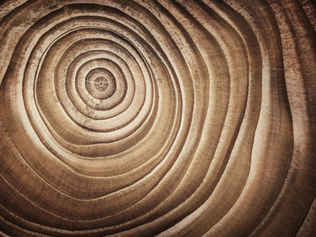 GIVING CIRCLE: Redefining Wealth Redistribution through Collective Wisdom