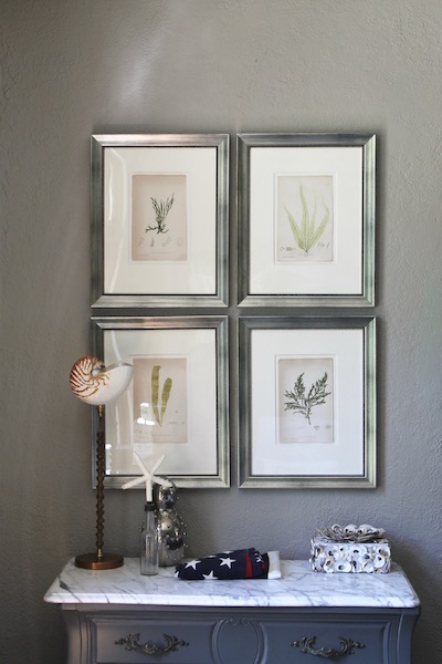 Four framed botanical prints on a gray wall above a table with a seashell lamp, vase, folded flag, and decor, creating a calm, elegant vibe.
